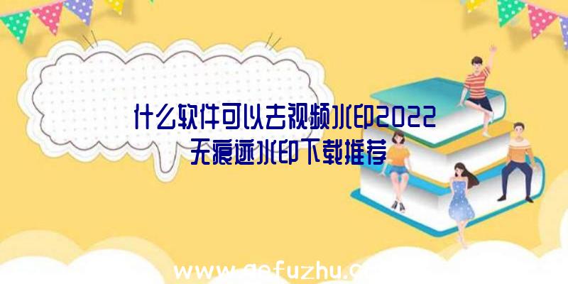 什么软件可以去视频水印2022